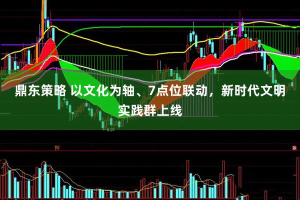 鼎东策略 以文化为轴、7点位联动，新时代文明实践群上线