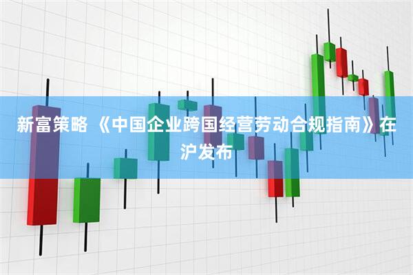 新富策略 《中国企业跨国经营劳动合规指南》在沪发布